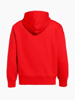 SPARKLING Hooded Sweater